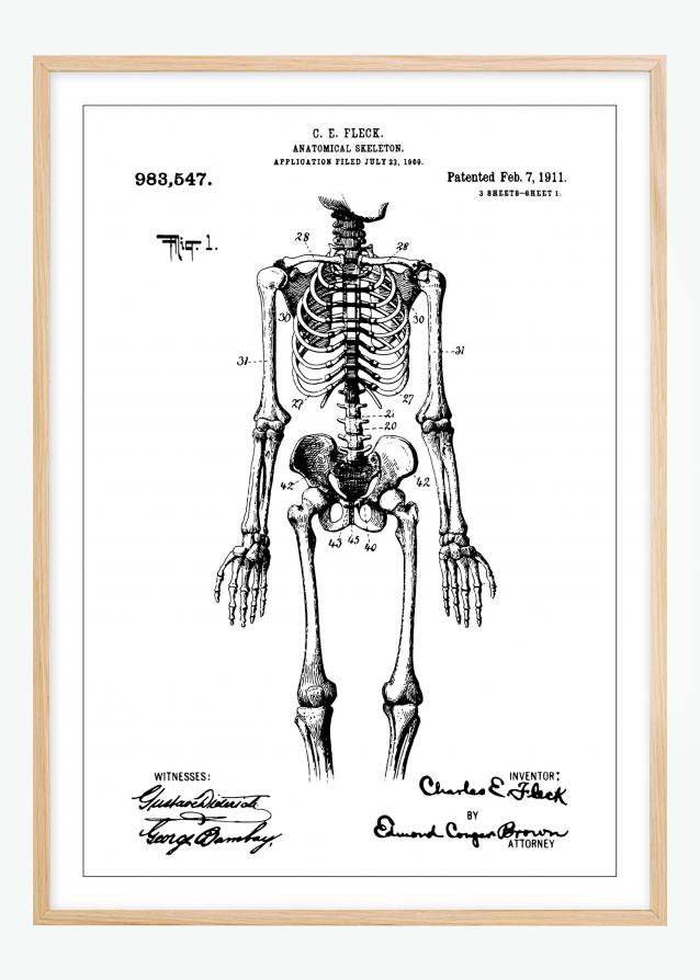 Bildverkstad Patenttekening - Anatomisch skelet I Poster