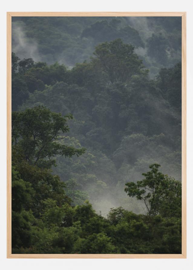 Bildverkstad Rainforest Poster