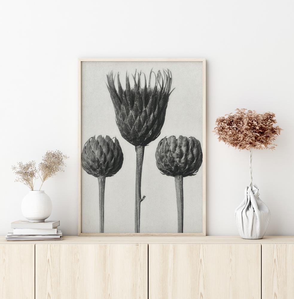 Bildverkstad Grey Flower IV Poster