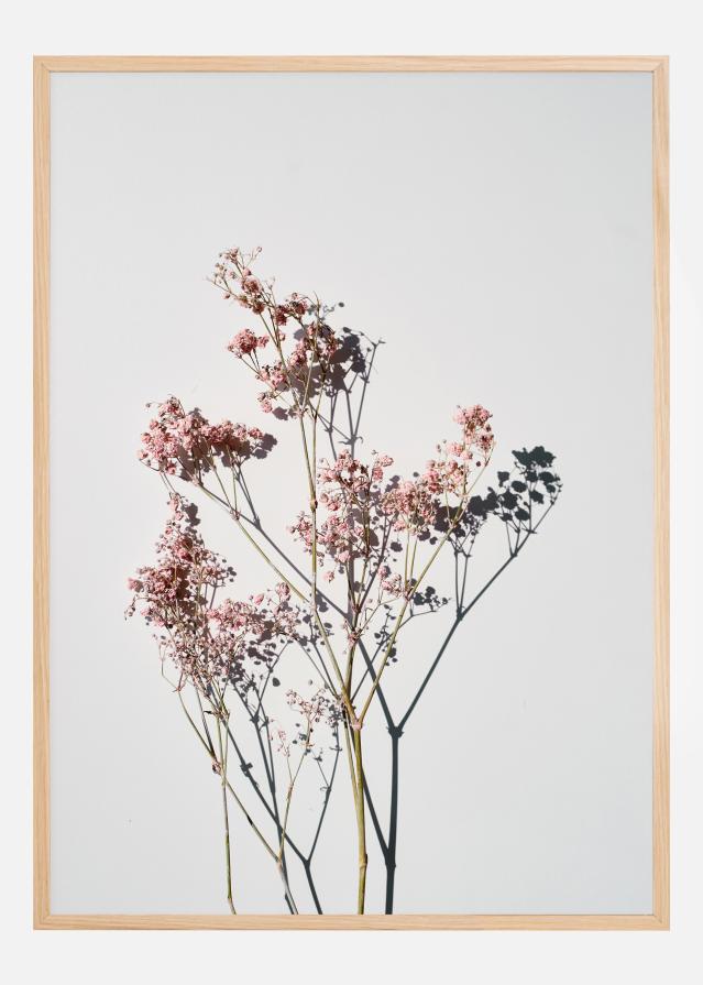 Bildverkstad Dried flowers II Poster