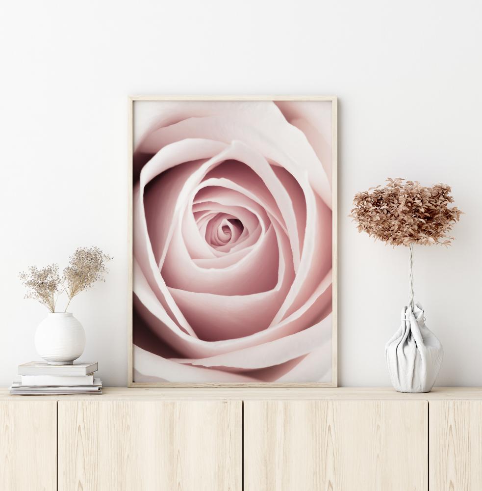 Bildverkstad Pink Rose Poster