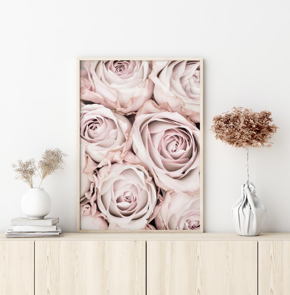 Bildverkstad Pink Roses Poster