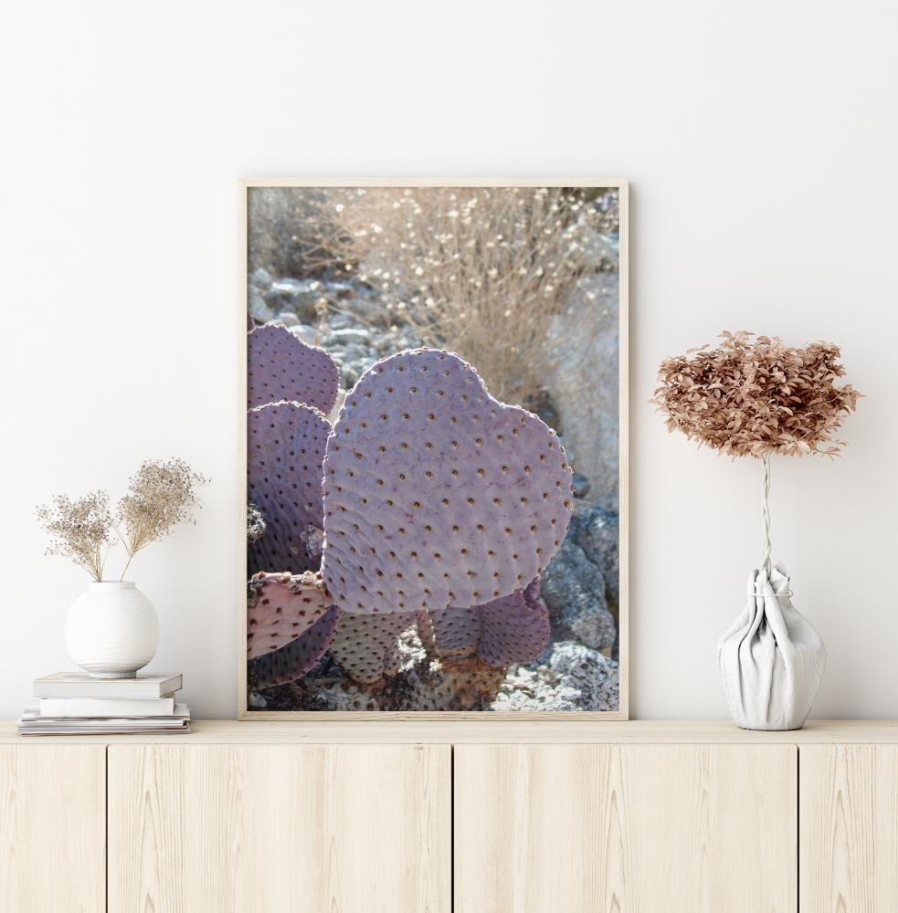 Bildverkstad Cactus Poster