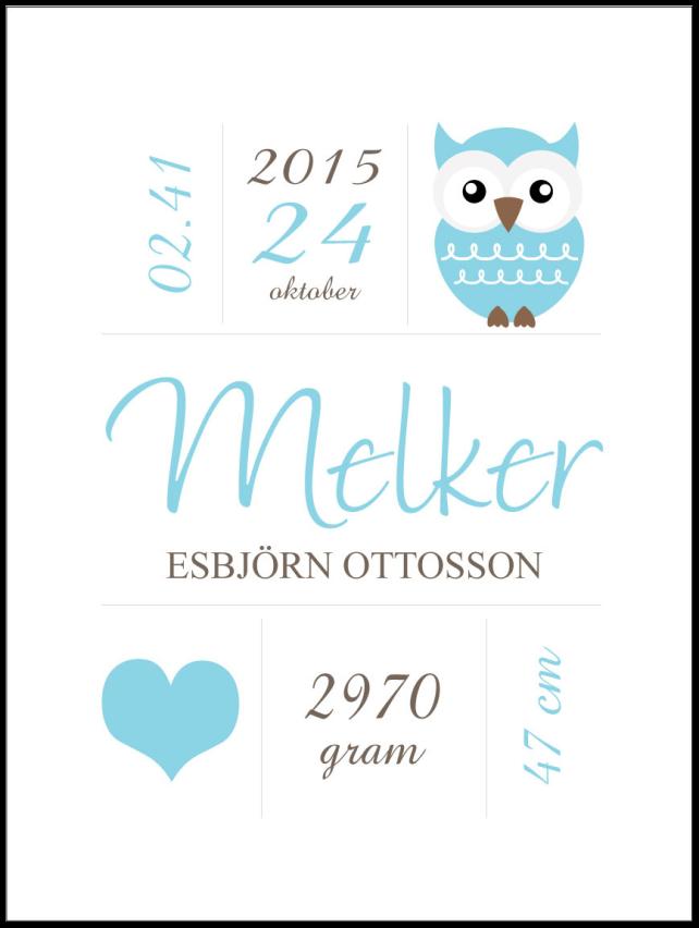 Personlig poster Owl Birth Poster Blue