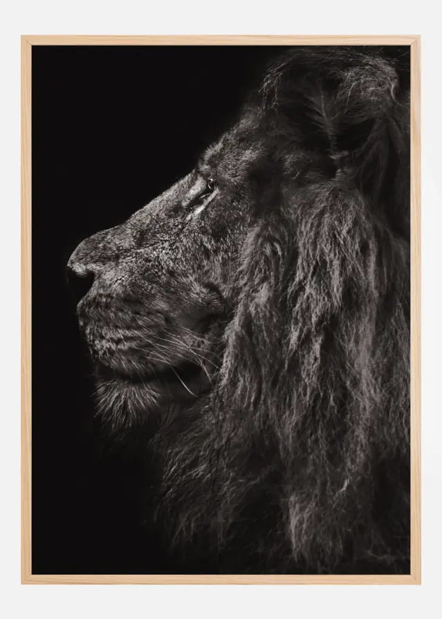 Bildverkstad Lion In Profile Poster