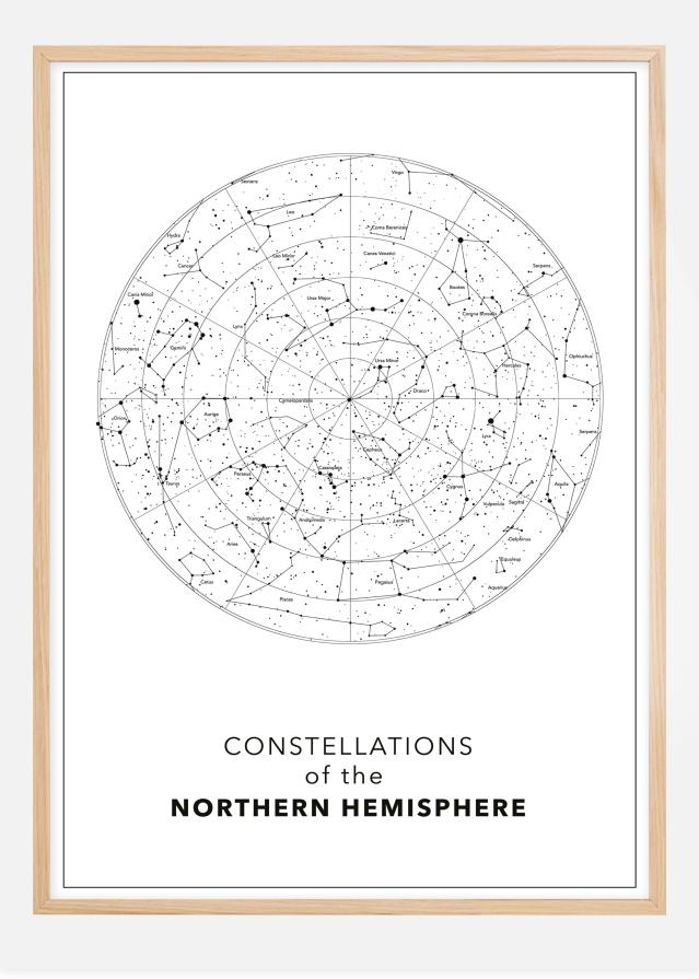 Bildverkstad Northern hemisphere Poster