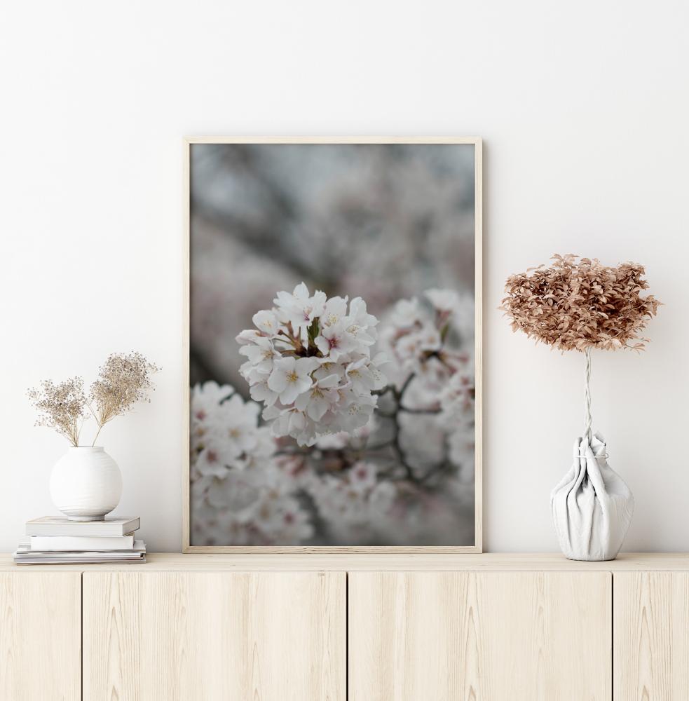 Bildverkstad Cherryblossom Poster