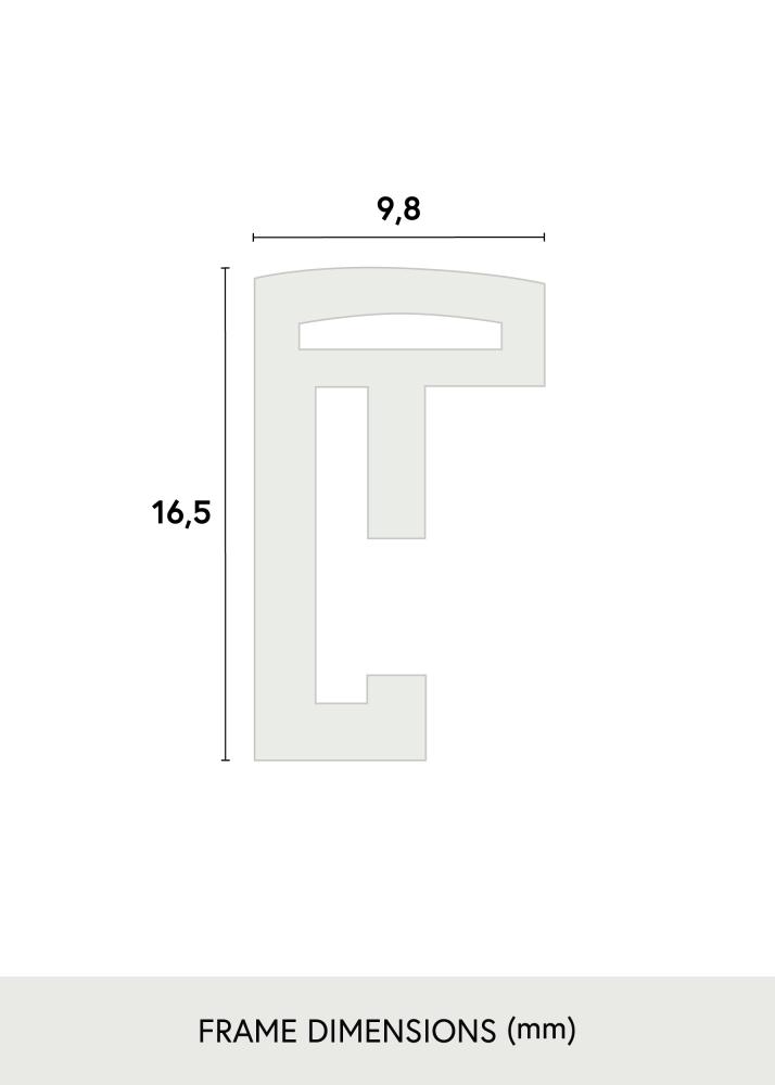 Walther Fotolijst New Lifestyle Acrylglas Rood 42x59,4 cm (A2)