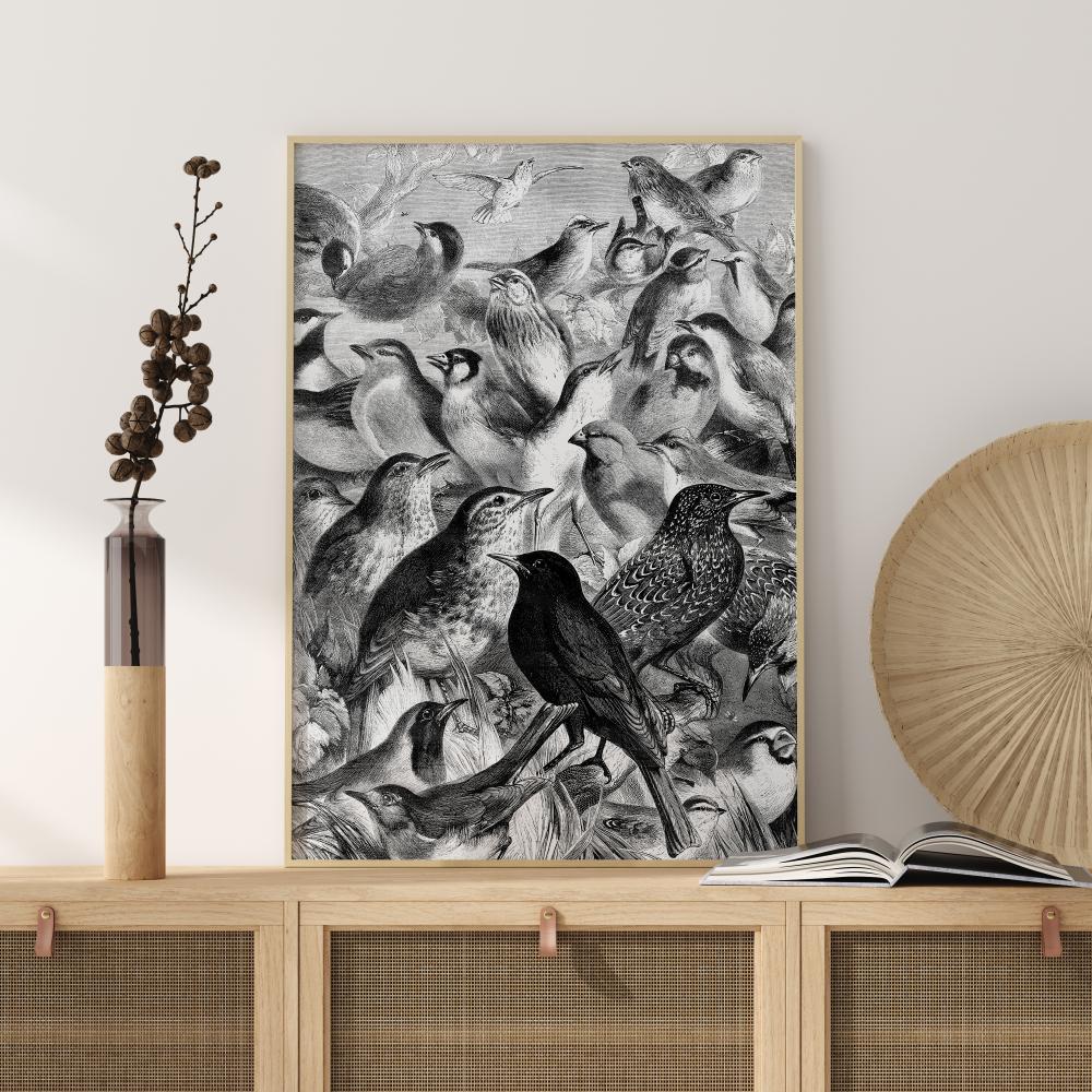 Bildverkstad Birds Poster