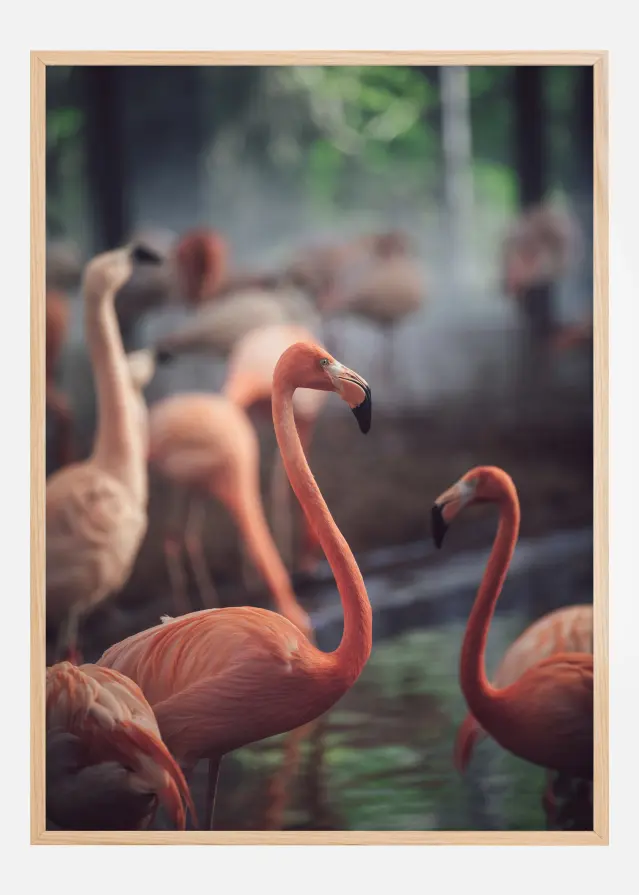 Bildverkstad Flamingo Poster