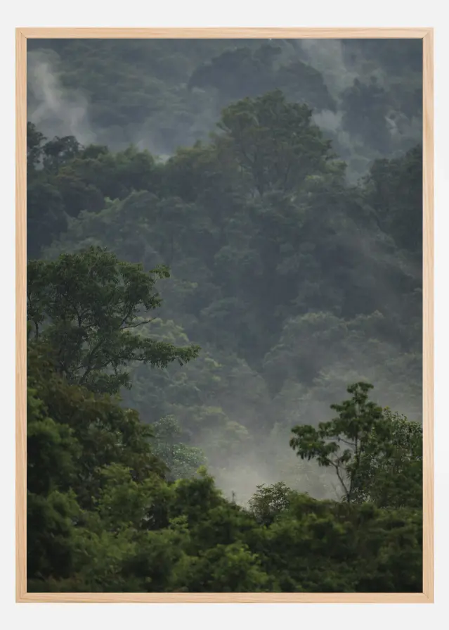 Bildverkstad Rainforest Poster