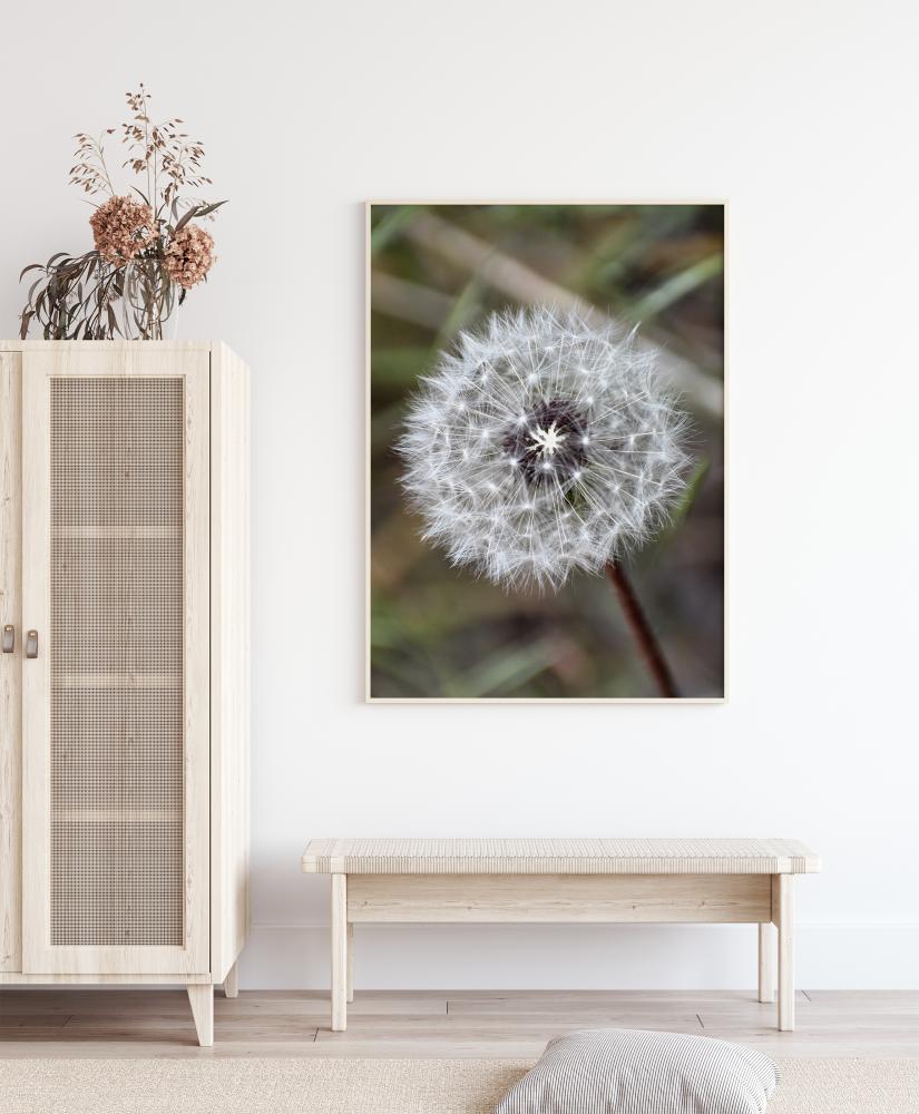 Bildverkstad Dandelion Poster