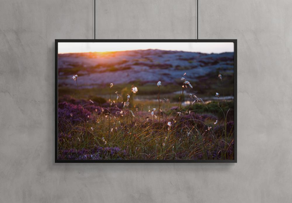 Bildverkstad Summer evening on the rocks Poster