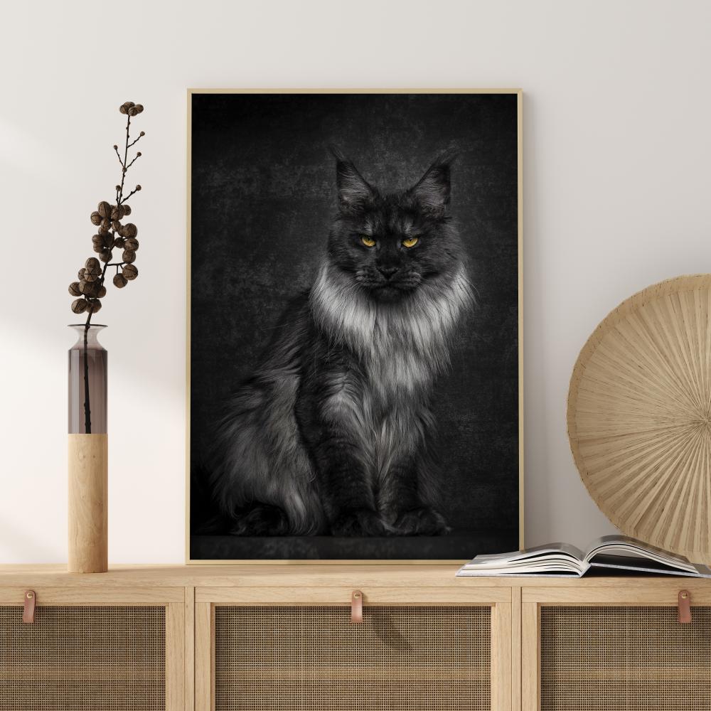 Bildverkstad Maincoon Poster