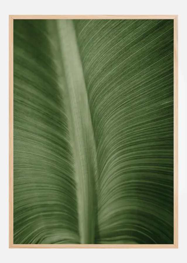 Bildverkstad Structure Of Leaves Poster