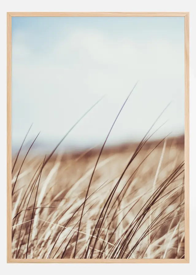 Bildverkstad Dreamy Grass Poster