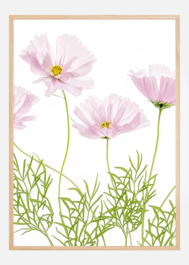 Bildverkstad Cosmos Cupcake Poster