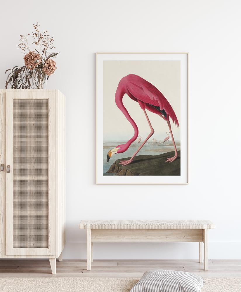 Bildverkstad American Flamingo Poster