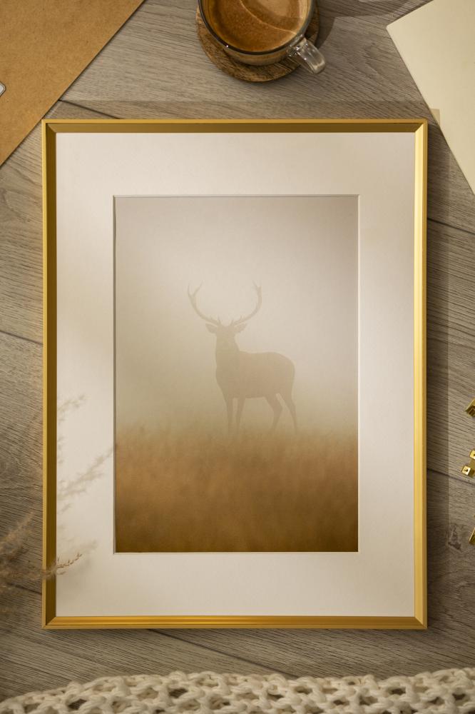 Ram med passepartou Fotolijst Desire Goud 30x40 cm - Passe-partout Wit 21x29,7 cm (A4)