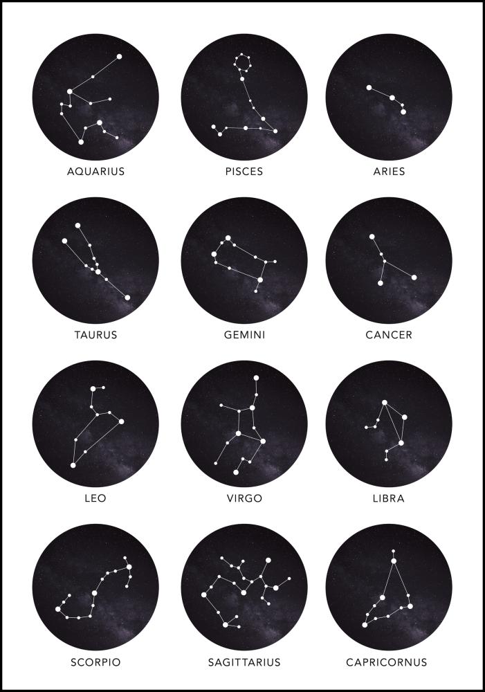 Bildverkstad Zodiac Signs Poster