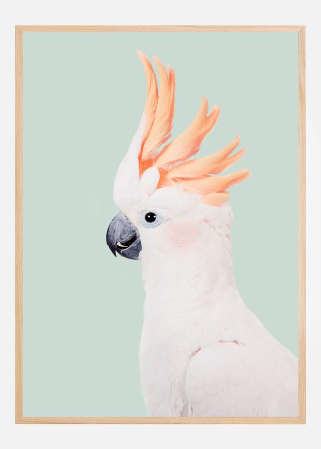 Bildverkstad Cockatoo Poster