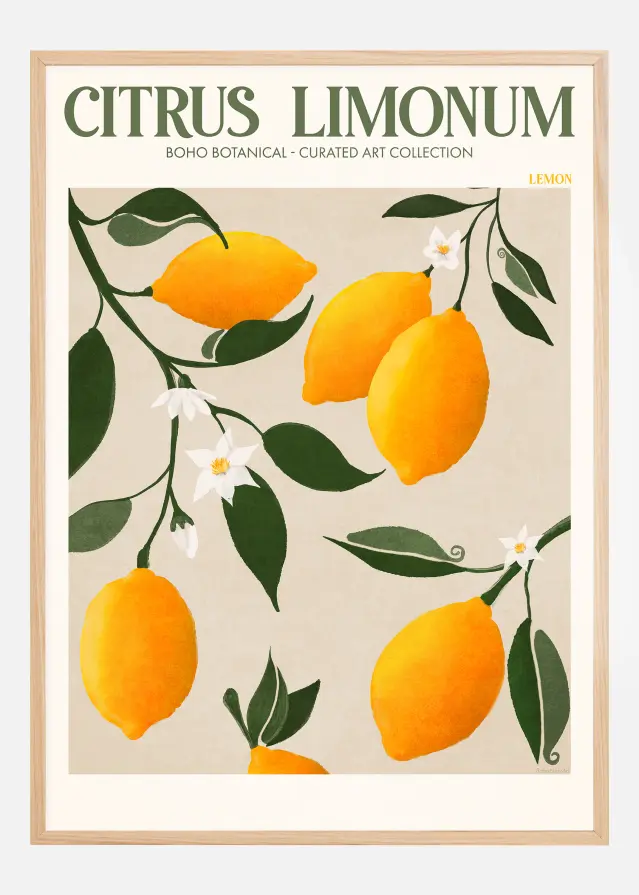 Bildverkstad Boho Citrus Limonum Poster