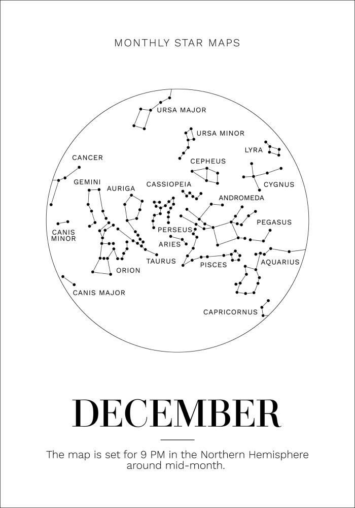 Bildverkstad Monthly star December