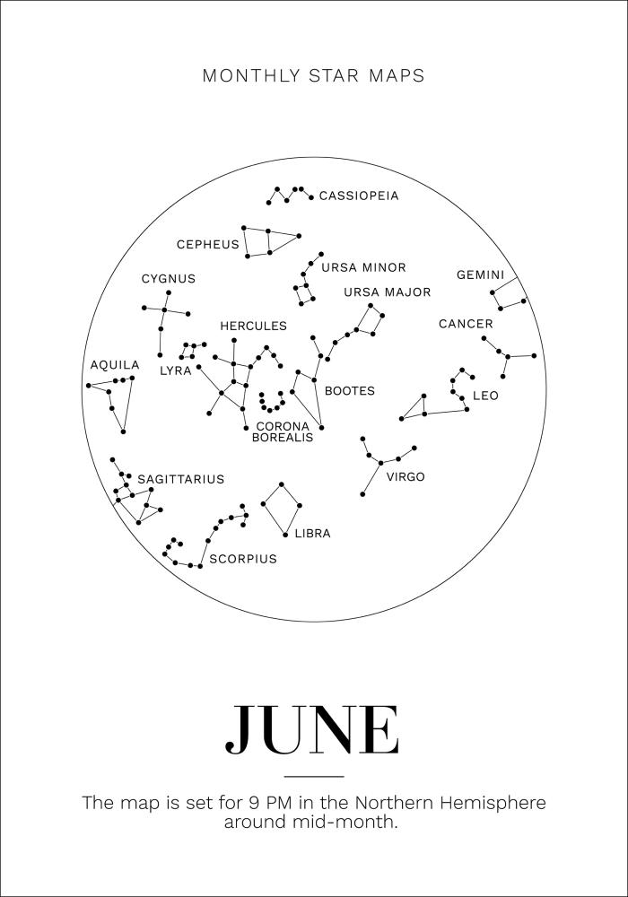 Bildverkstad Monthly star June