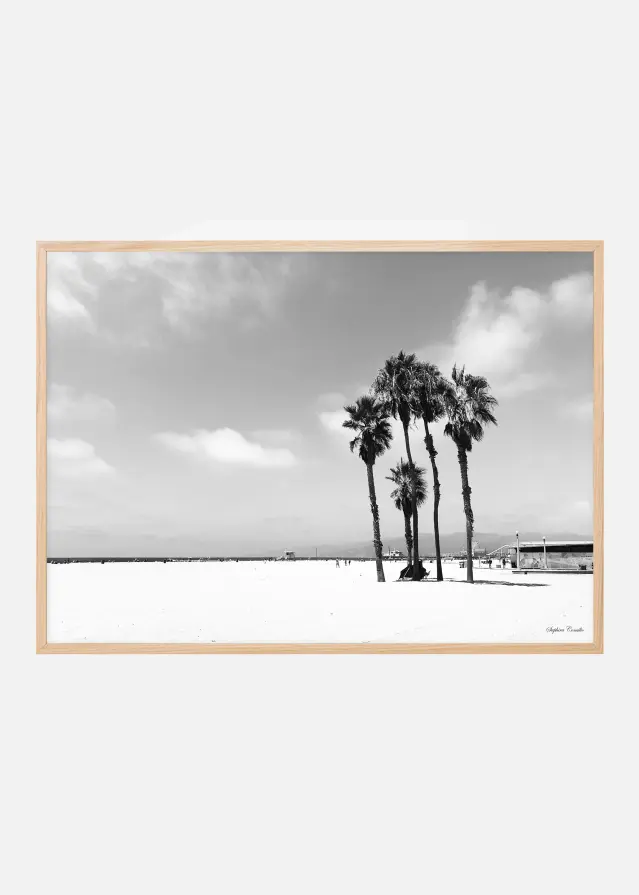 Bildverkstad Venice Beach Ocean Poster