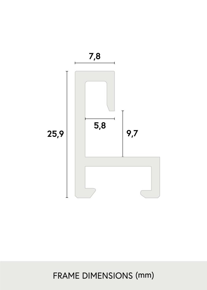 Nielsen Fotolijst Nielsen Premium Alpha Blank Zilver 50x70 cm