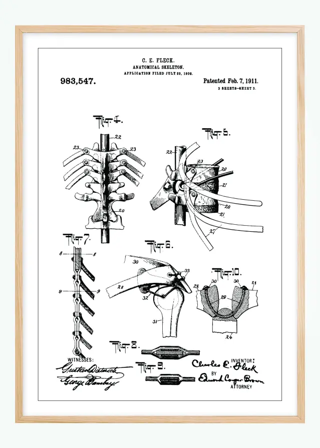 Bildverkstad Patenttekening - Anatomisch skelet III Poster