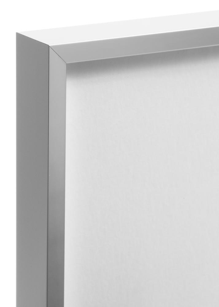 Nielsen Fotolijst Nielsen Premium Alpha Blank Zilver 50x70 cm