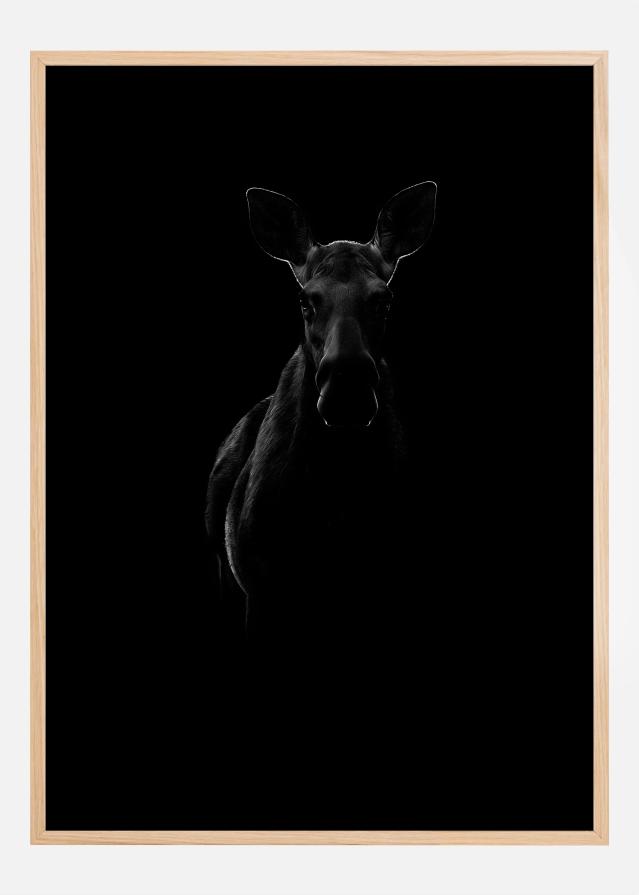 Bildverkstad Black Moose Poster