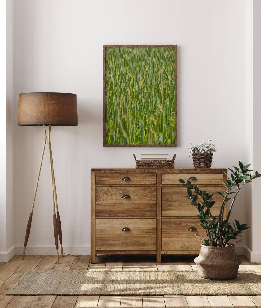 Bildverkstad Green Wheat Field Poster